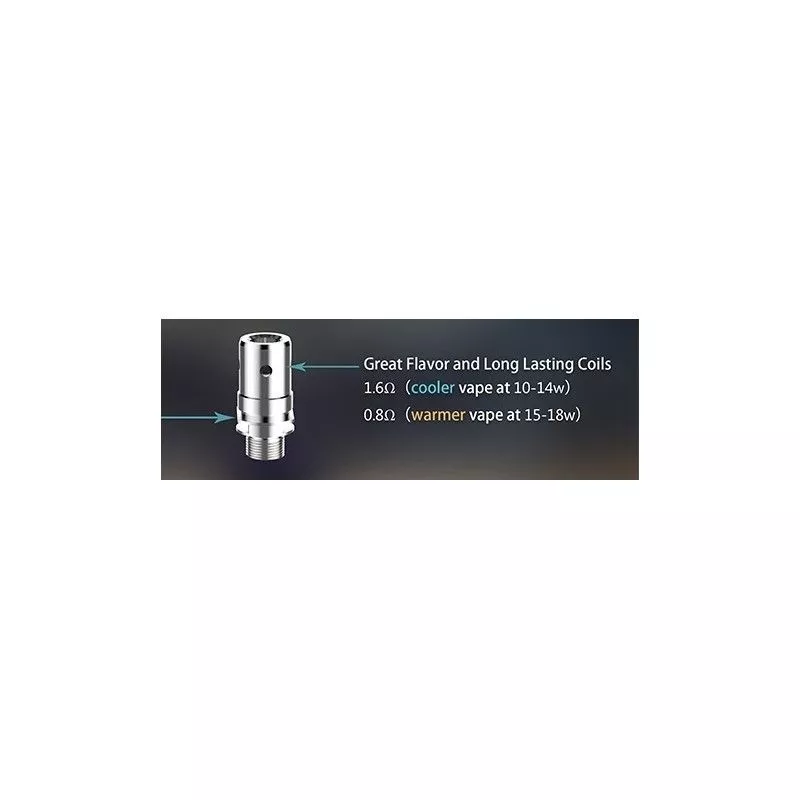 Coil Z  - Innokin (pack de 5) Vapitex Maroc