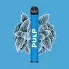 Le Pod Menthe Polaire - 2 ml - FR - PULP Vapitex Maroc