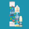 Frost & Furious - Cactus Flower 60ML - Pack Vapitex Maroc